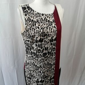 Ann Taylor    Dress